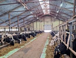 Корткеросский район и Коми отмечают 20-летие флагмана молочного производства