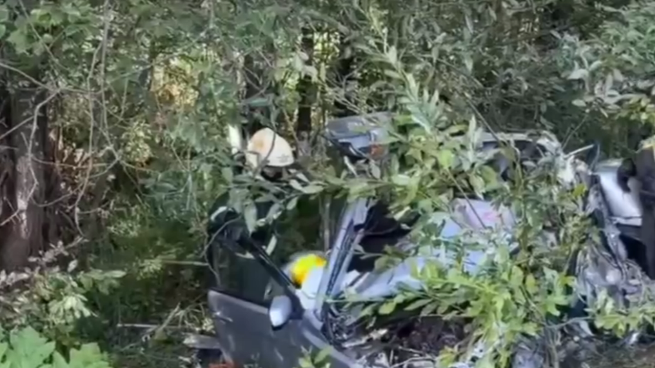 Главная картинка новости: Трагическое ДТП под Сыктывкаром унесло жизнь водителя легкового автомобиля Mitsubishi