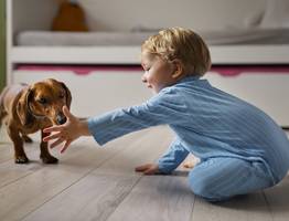 Породы собак, которые не подходят семьям с детьми: полный проводник для родителей