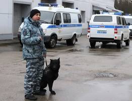 Служебные собаки раскрыли секреты профессии перед школьниками Сыктывкара
